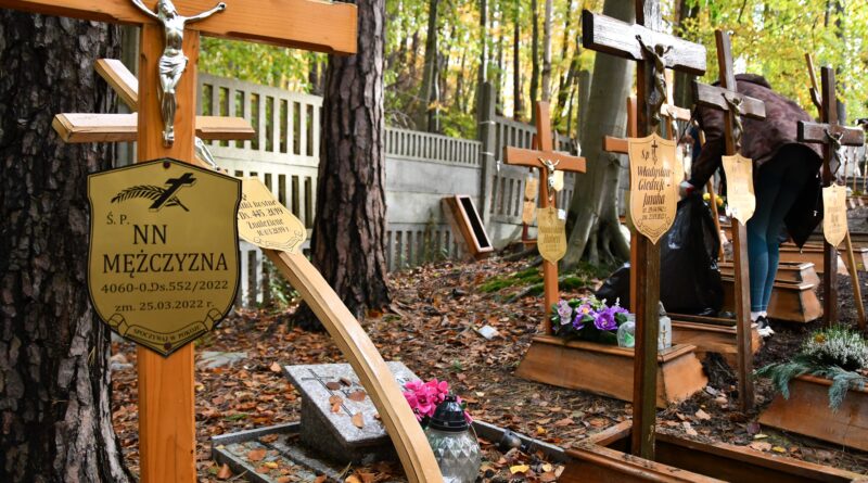 widok opuszczonych grobów na cmentarzu