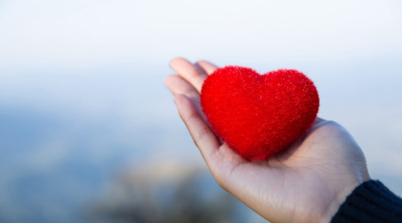serce na dłoni